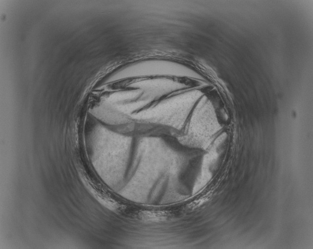 X0000081420250200702021634