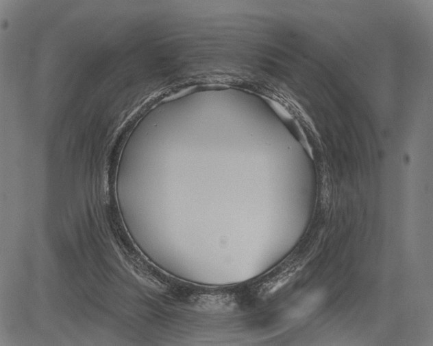 X0000081420251200702021634