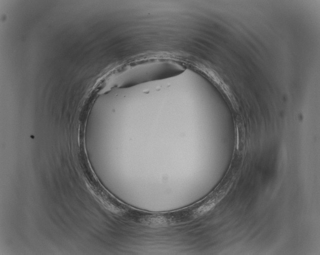 X0000081420253200702021634