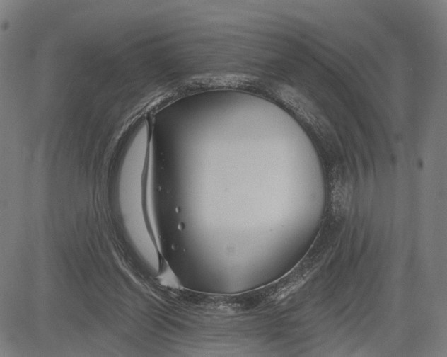 X0000081420254200702021634