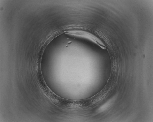 X0000081420255200702021634