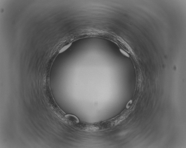 X0000081420257200702021635