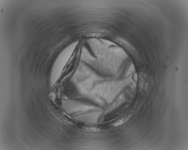 X0000081420258200702021635