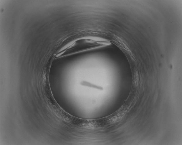 X0000081420259200702021635