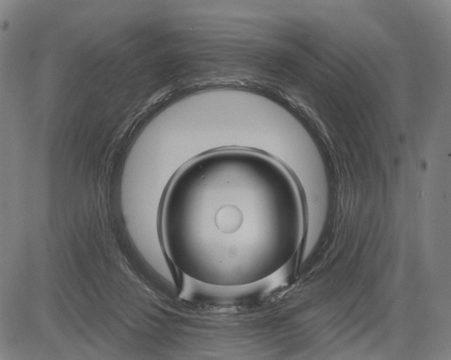 X0000081420260200702021635