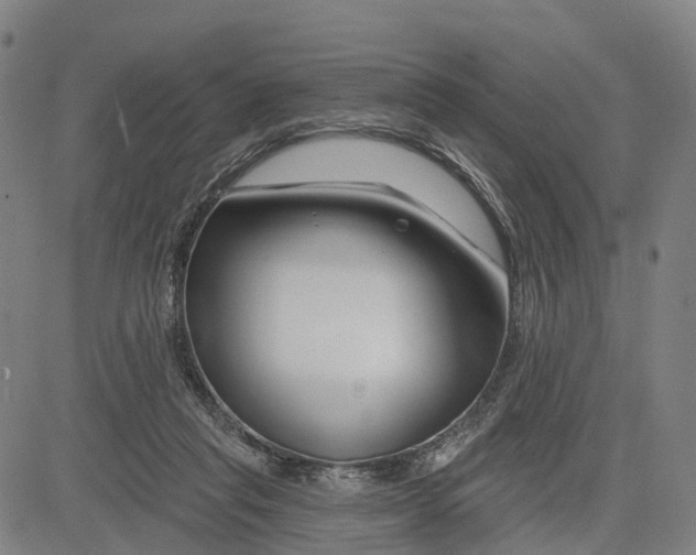 X0000081420261200702021635