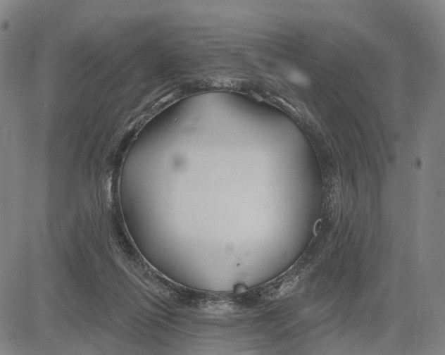 X0000081420262200702021635