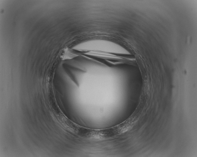 X0000081420263200702021635