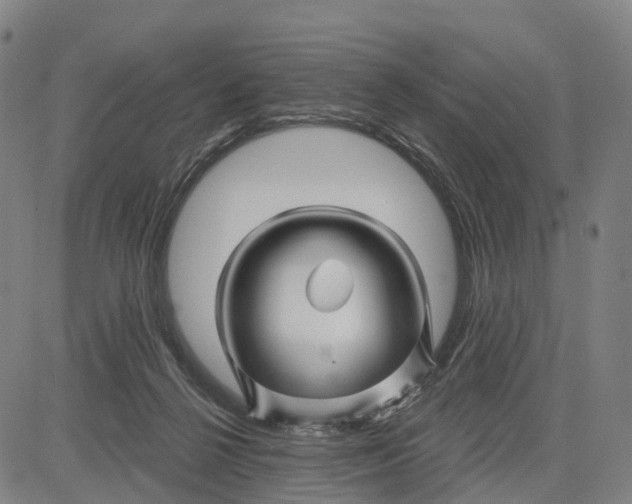 X0000081420264200702021635