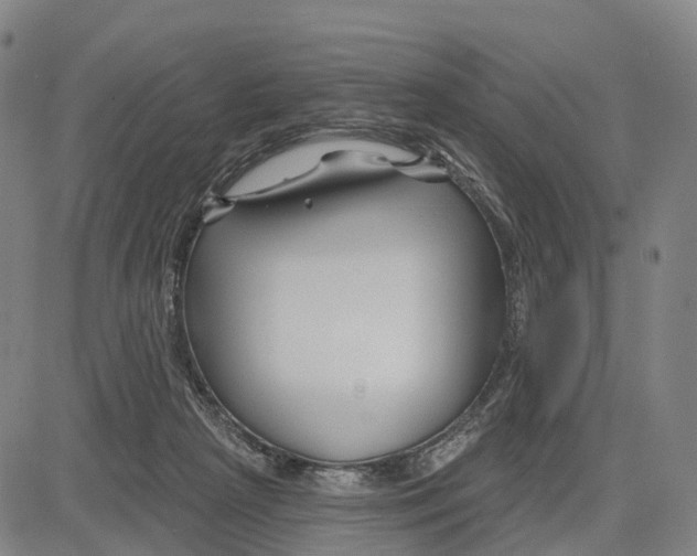 X0000081420265200702021635