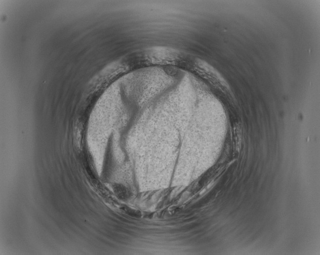 X0000081420266200702021635