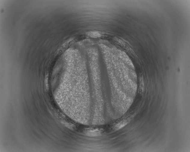 X0000081420267200702021635