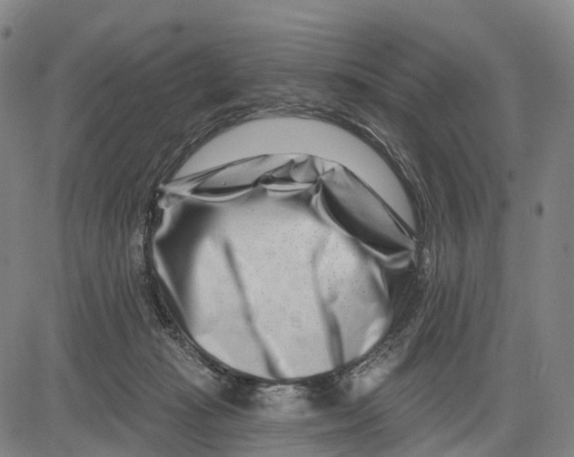 X0000081420269200702021635