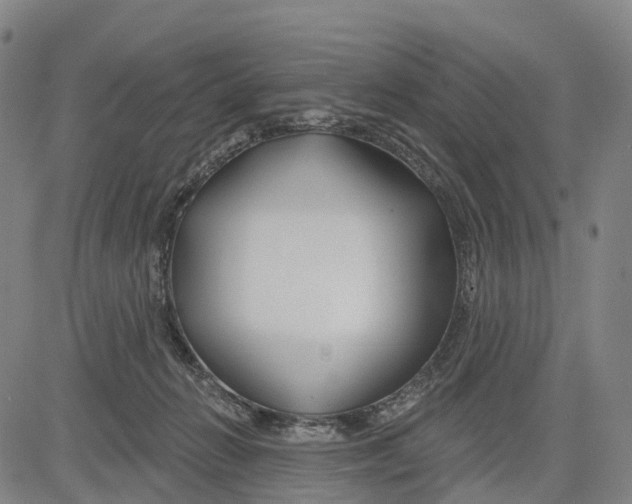 X0000081420270200702021635