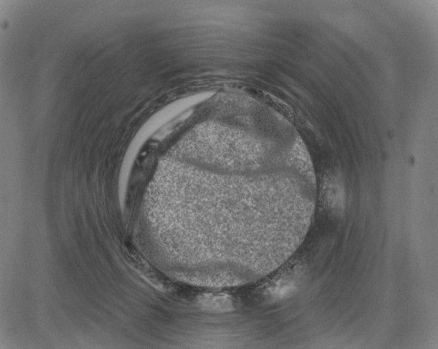 X0000081420271200702021635