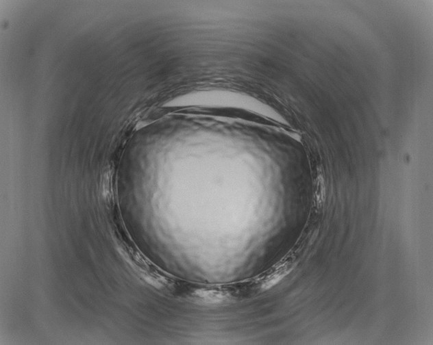 X0000081420272200702021635