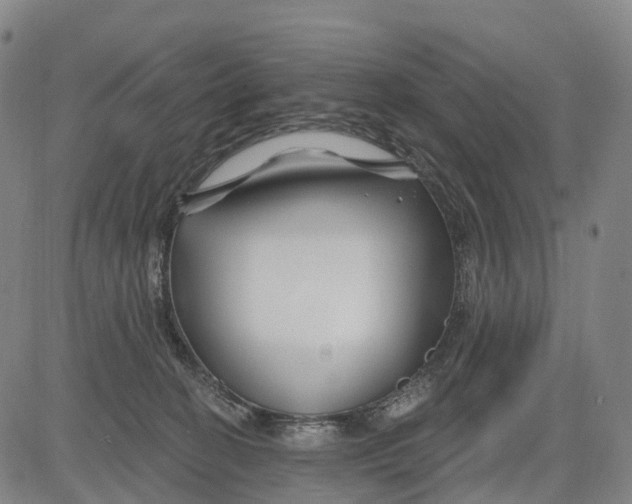 X0000081420274200702021635