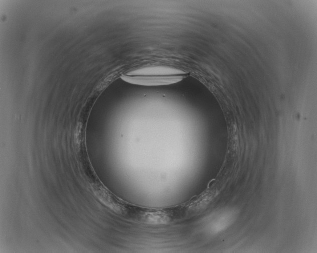 X0000081420275200702021635