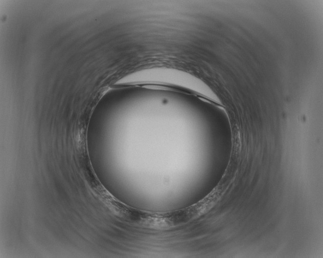 X0000081420276200702021635