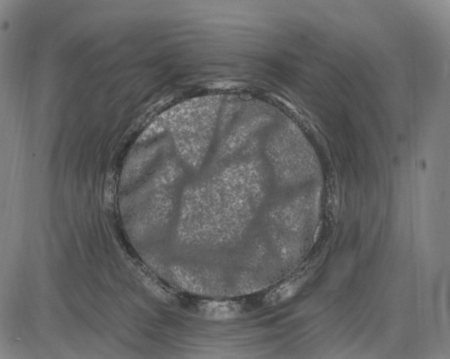 X0000081420277200702021635