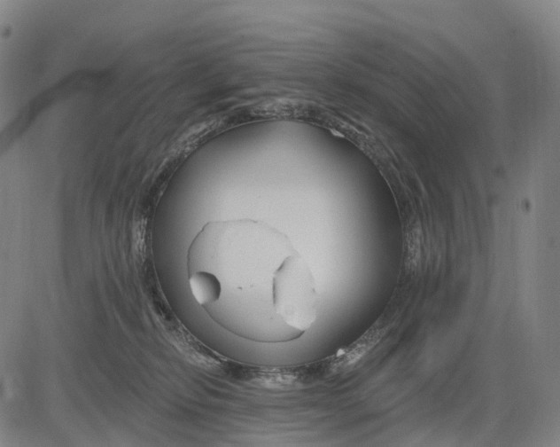 X0000081420278200702021635