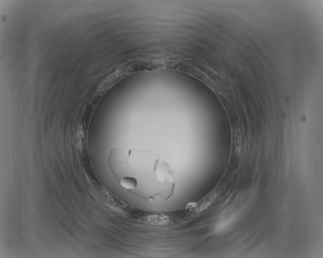 X0000081420279200702021635