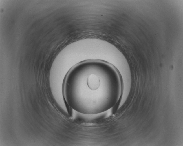 X0000081420280200702021635