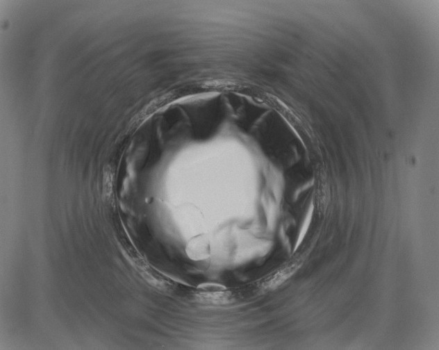 X0000081420281200702021635