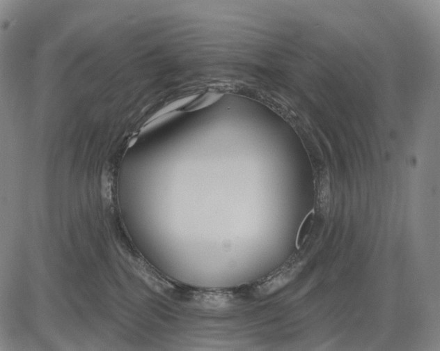 X0000081420282200702021635