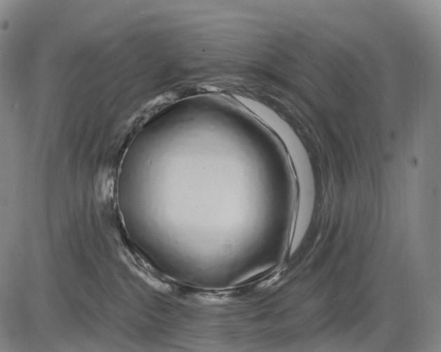 X0000081420284200702021635