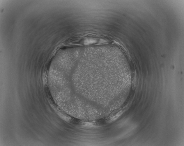 X0000081420285200702021635