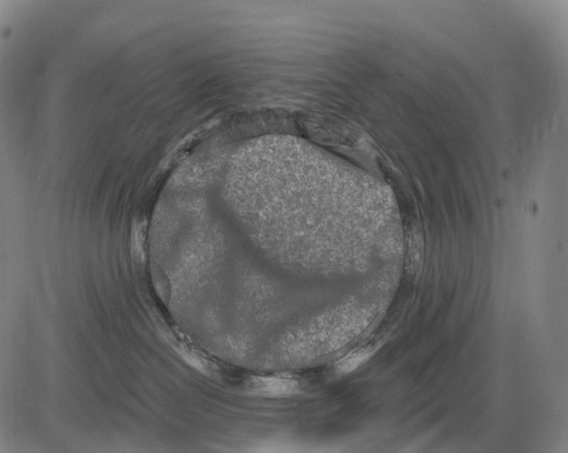 X0000081420286200702021635