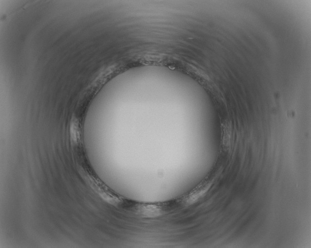 X0000081420287200702021635