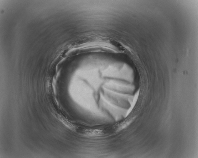 X0000081420288200702021635