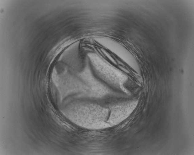 X0000081420290200702021634