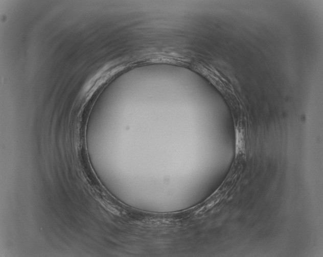 X0000081420291200702021634