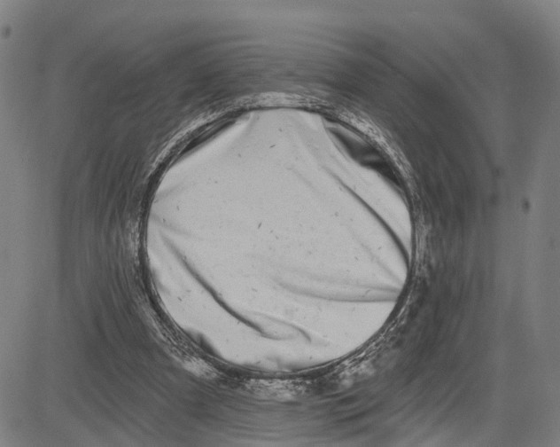 X0000081420297200702021634