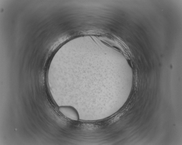 X0000081420298200702021634