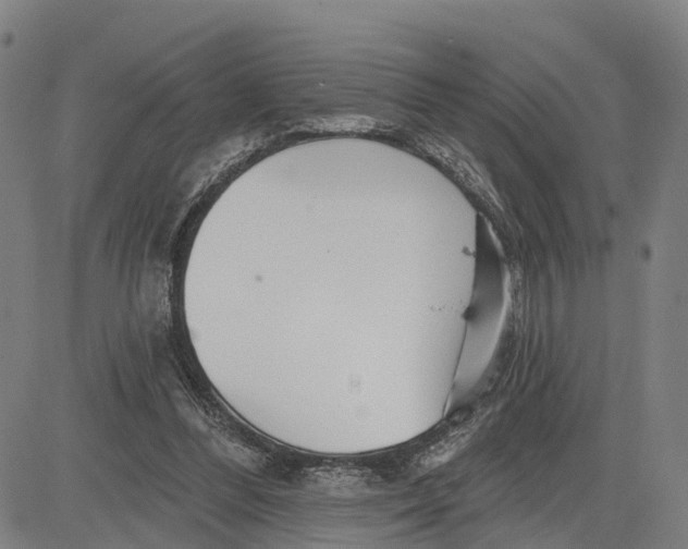 X0000081420300200702021634