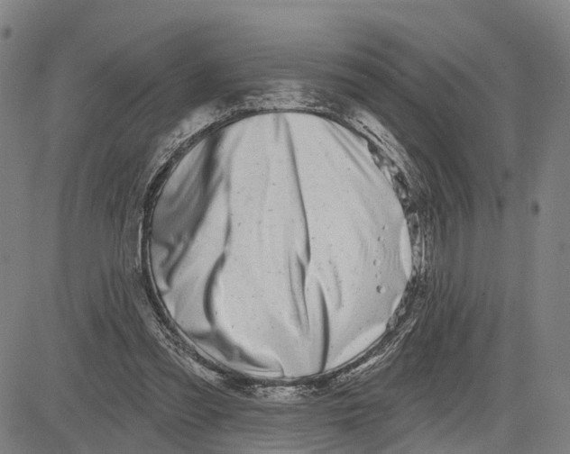 X0000081420301200702021634