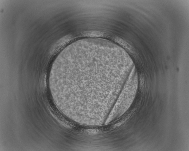 X0000081420302200702021634