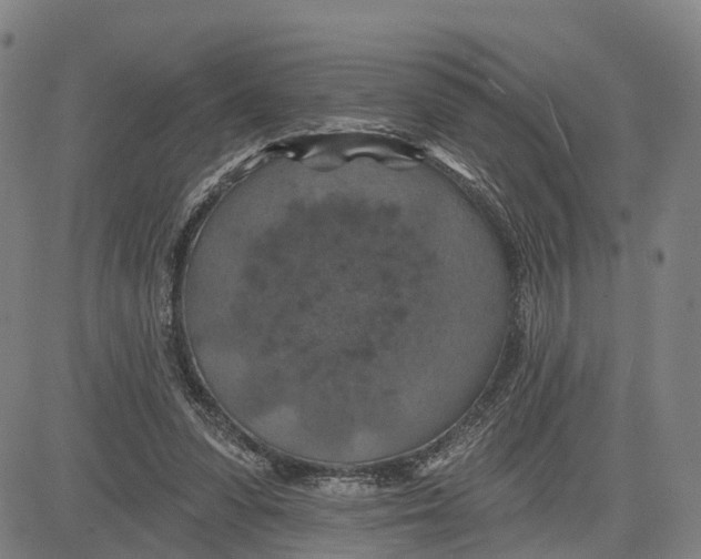 X0000081420303200702021634