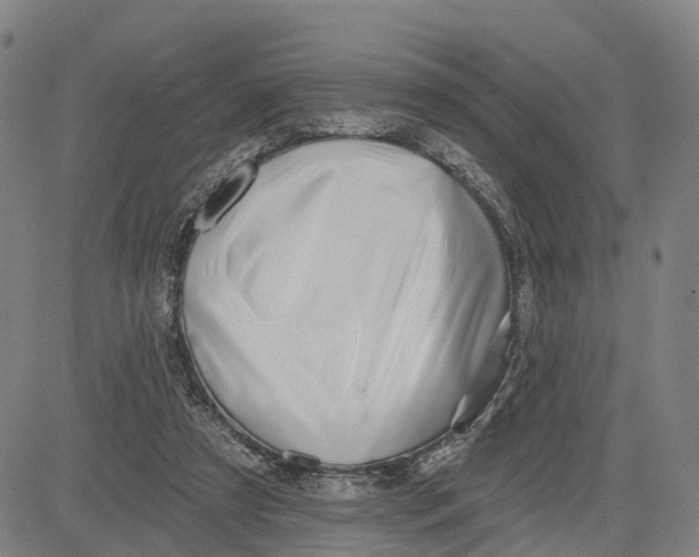 X0000081420305200702021634