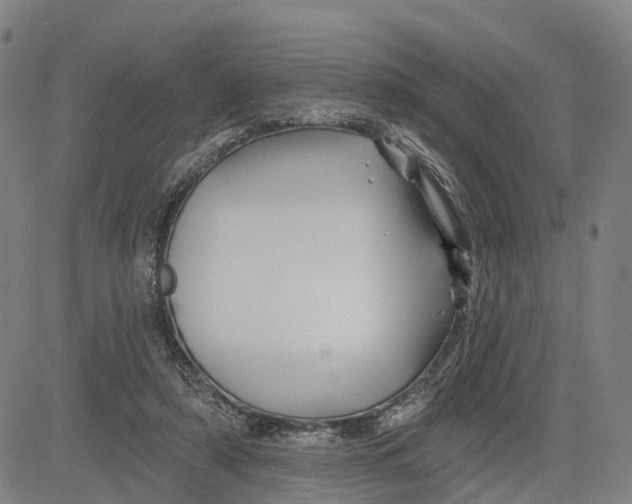 X0000081420306200702021634