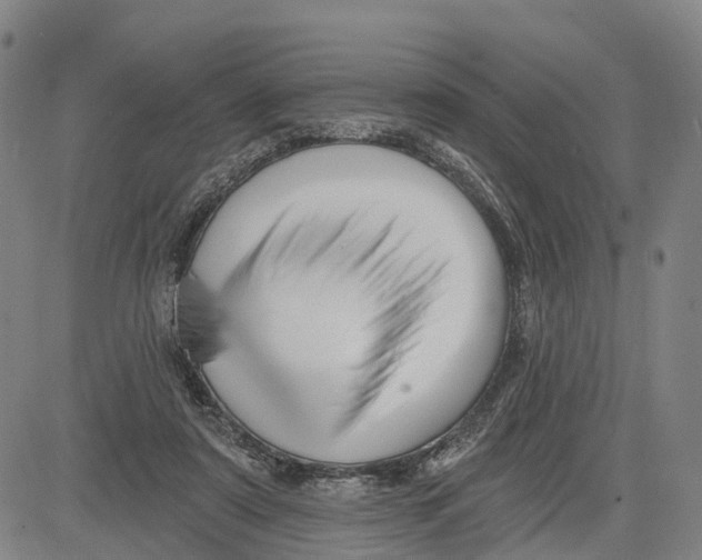 X0000081420307200702021634