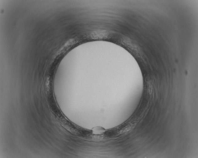 X0000081420308200702021634