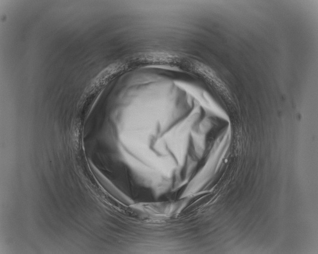 X0000081420309200702021634