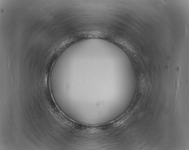 X0000081420310200702021634