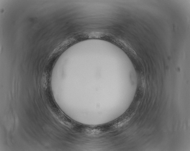 X0000081420311200702021634