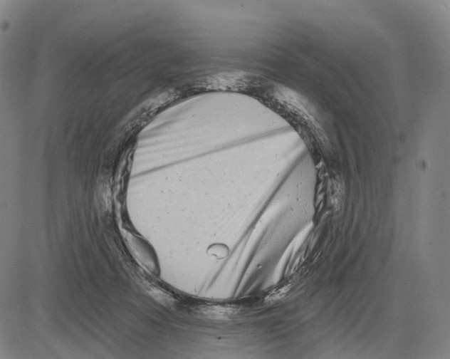 X0000081420313200702021634